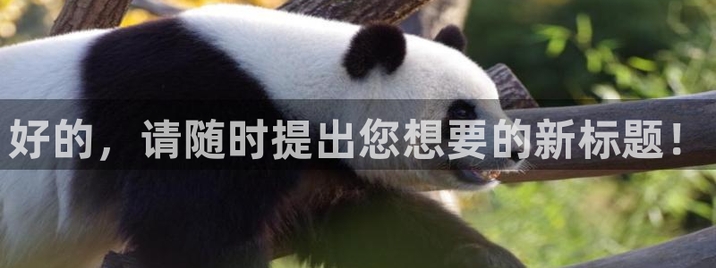 被窝秋霞电影网