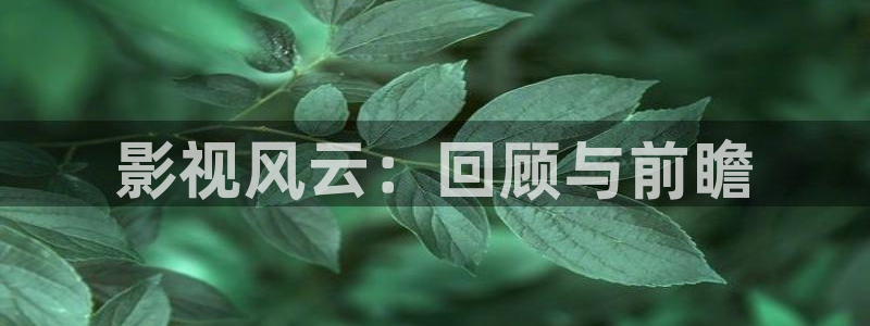 被窝电影免费观看