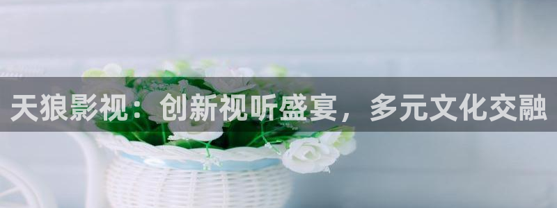 被窝电影在线播放